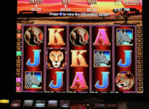 人人体育app下载电脑免费版